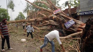 Agra put on 72-hour weather alert as Uttar Pradesh battles dust storm