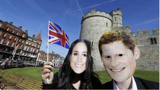 Two-thirds of Brits not interested in the royal wedding: poll