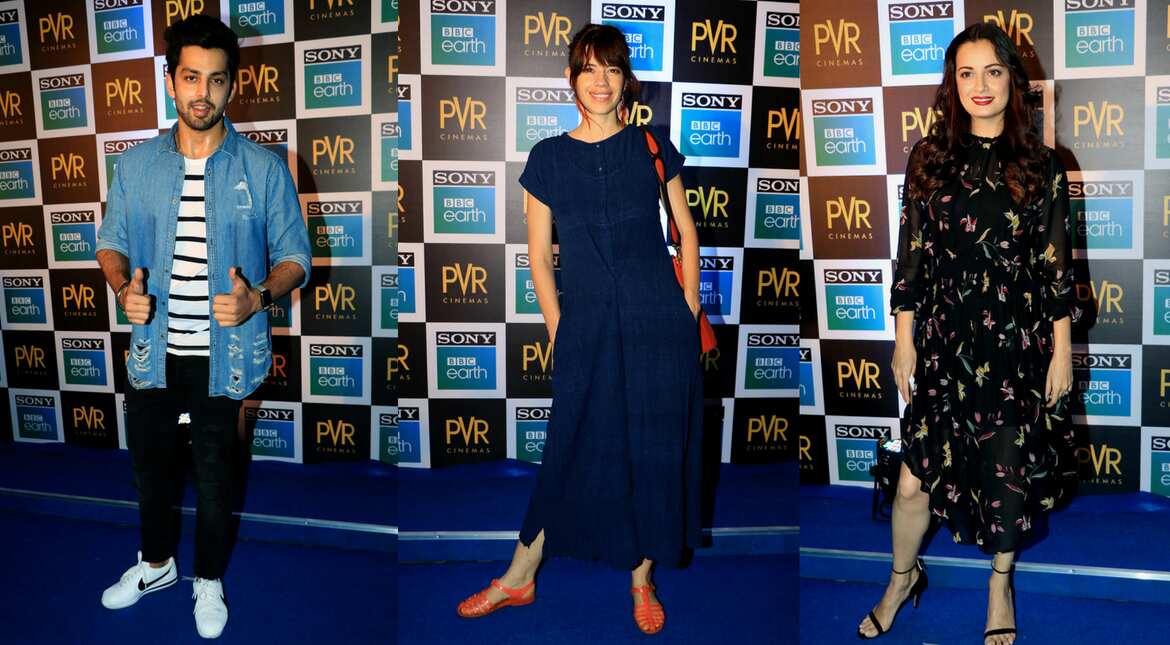 Blue carpet screening of the Blue Planet 2
