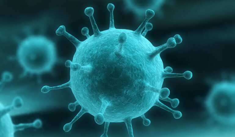 Kerala put on high alert after rare Nipah virus kills 9
