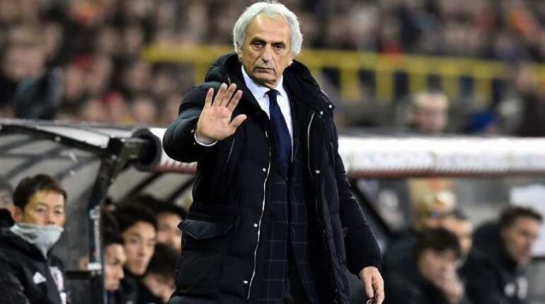 Vahid Halilhodzic launches lawsuit over Japan dismissal