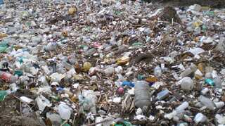 World Environment Day 2018: Discourage use of hazardous plastic