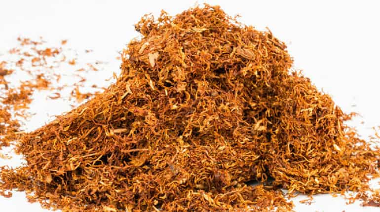 Ancient North Americans used tobacco over 12,000 years ago, says study