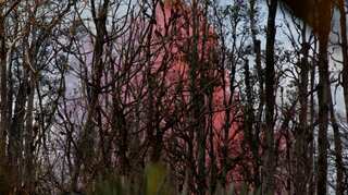 Three people trapped by lava airlifted to safety near Hawaii volcano