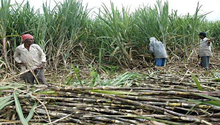 Uttar Pradesh government to monitor sugarcane price payment on daily basis