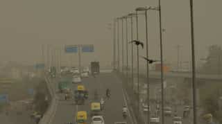 Thick haze engulfs Delhi as Diwali celebrations continue long after Supreme Court deadline