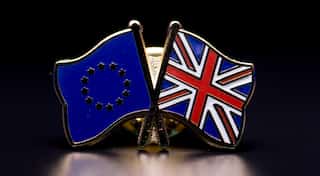 Poles want to stay in UK regardless of 'Brexit': Polish survey
