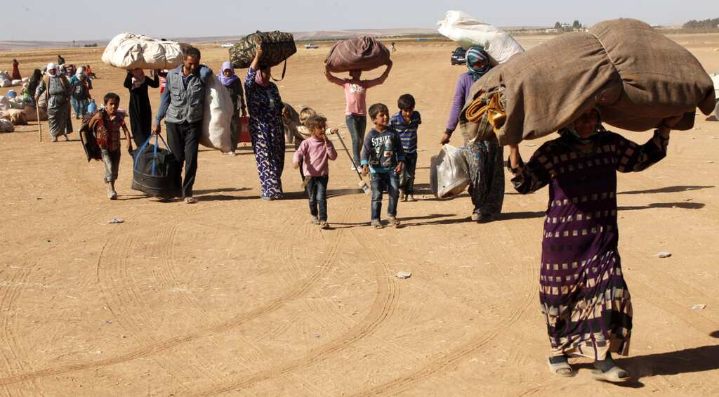 Turkish troops kill 11 Syrians trying to cross border