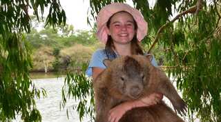 Australian wombat, who got depressed after he was deprived of his cuddles, has died