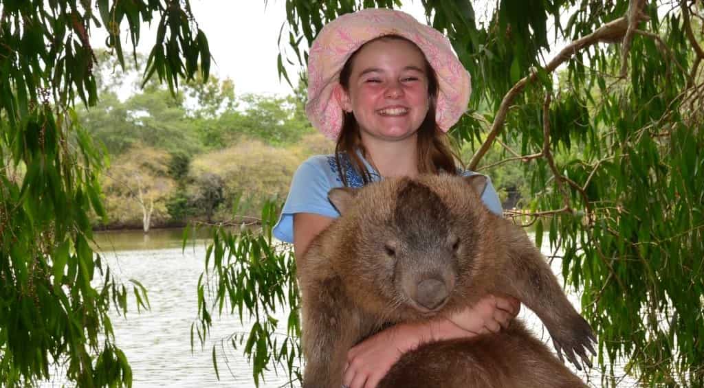 Australian wombat, who got depressed after he was deprived of his cuddles, has died
