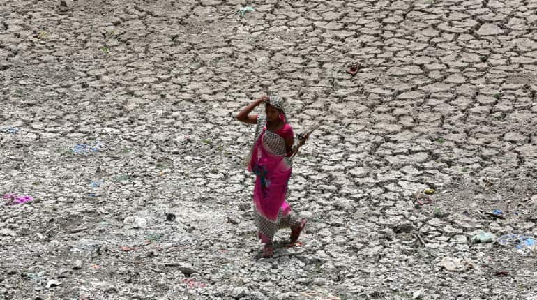 Climate change will affect half of South Asia, India to be worst-hit: World Bank