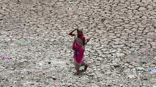 Climate change may lower living standards of nearly half of India's population: World Bank