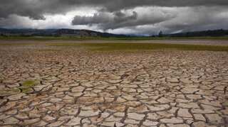 India to join UN Climate Change Summit in New York this September 