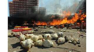 After 8 die in violent weekend protests, Mexico teachers protest the 'massacre'