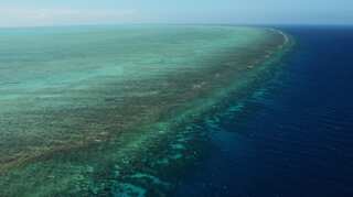 Australia's Great Barrier Reef at risk of losing million tourists annually: Report