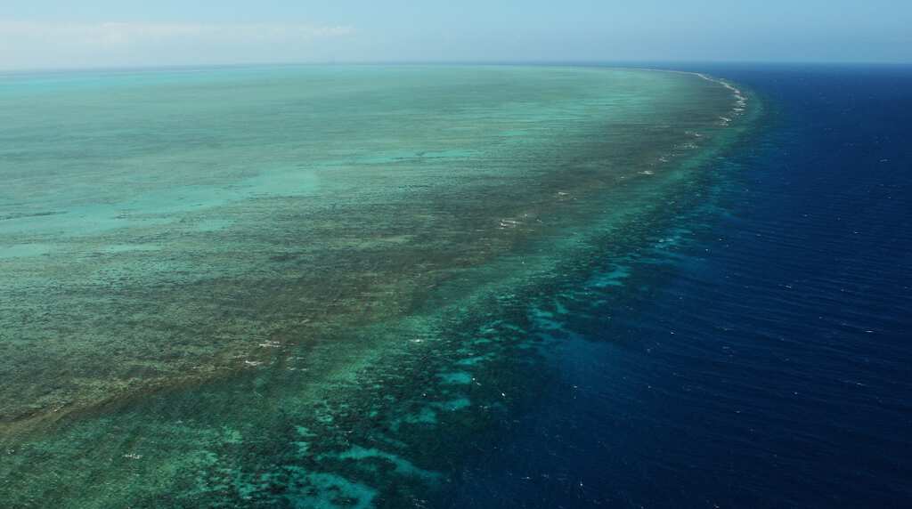 Australia's Great Barrier Reef at risk of losing million tourists annually: Report