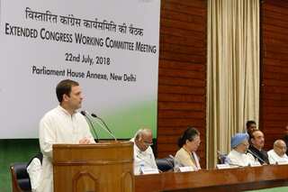 CWC authorises Rahul Gandhi to take decisions on pre-poll, post-poll alliances: Sources
