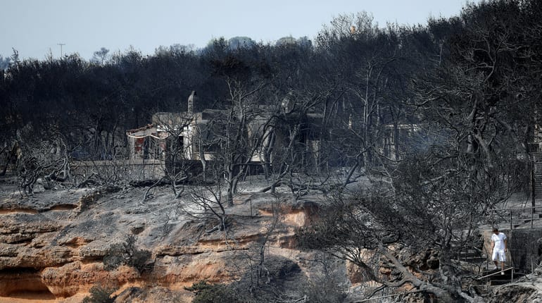 Forest fires, barbecue bans: Heatwave scorches Europe Forest fires, barbecue bans: Heatwave scorches Europe