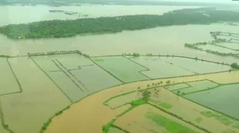 Flood fury in Kerala destroys crop worth 3.42 billion rupees Flood fury in Kerala destroys crop worth 3.42 billion rupees