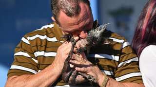 The 'World's Ugliest Dog' crowned at annual California-based pageant