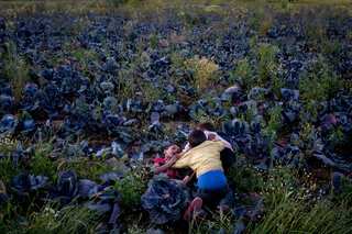 25 children killed in air strikes in eastern Syria: UNICEF