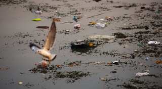 Drought, pollution poisoning India's fresh water sources