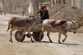 5.4-magnitude earthquake rattles Tajikistan, destroys 30 homes and a school