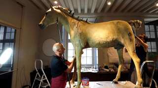 Napoleon's last horse to strut after makeover