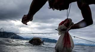 Sri Lankan Navy arrests five Indian fishermen for crossing maritime boundary