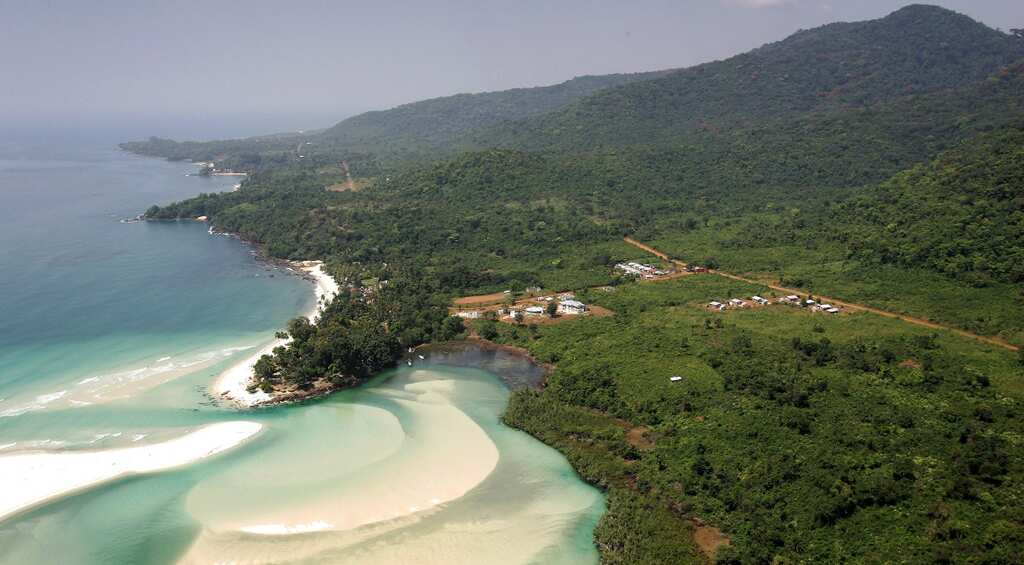 Smelly seaweed invades Sierra Leone beaches