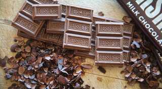 Chocolate giant Hershey may face bitter opposition in namesake town