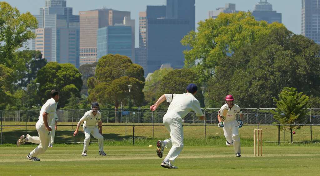 Australian cricket board slaps bans on three players for betting