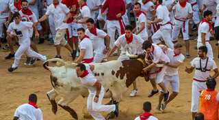 Six gored on second day of Spain's San Fermin festival