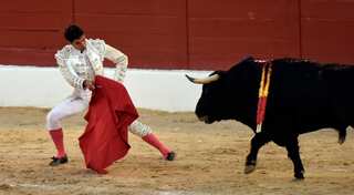 Spanish matador gored to death in ring for first time in 3 decades
