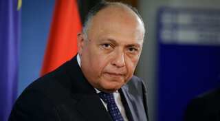 Egypt foreign minister on rare Israel visit to revive peace talks