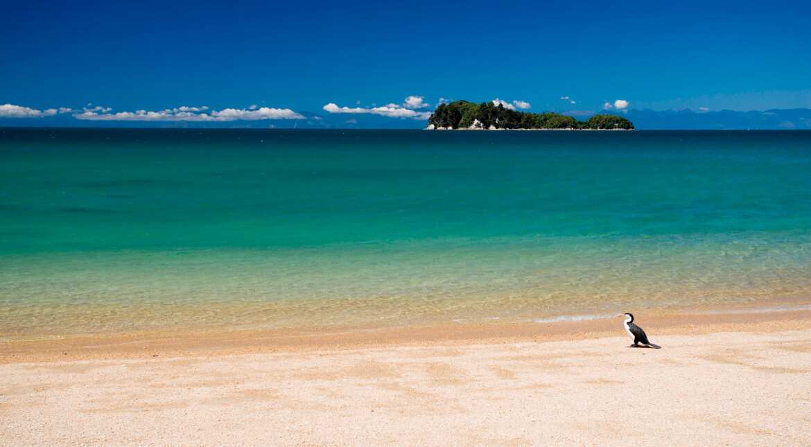 New Zealand man crowdfunds private beach into public parkland