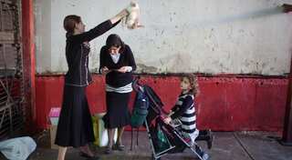 Ultra-orthodox women in Israel embrace life as breadwinners
