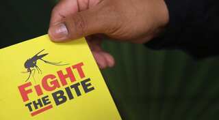 Austrian biotech plans Zika vaccine clinical trials in 12 months