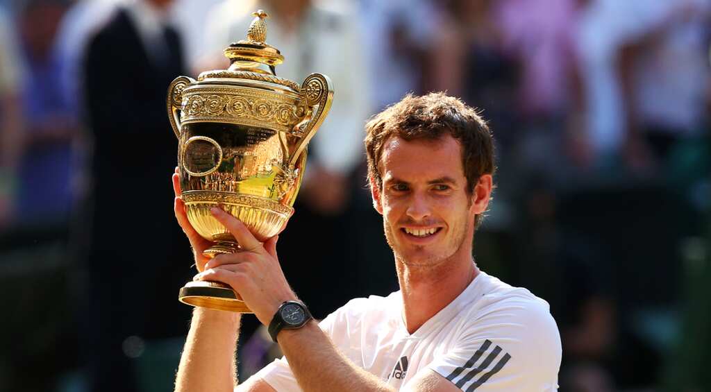 Murray eyes top ranking after Wimbledon triumph