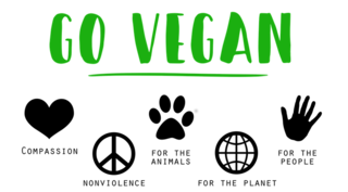 Yoga on veggie fries