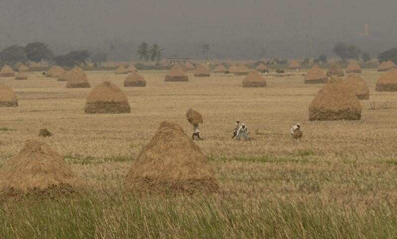 Demonetisation affects farming, construction activities in India's Odisha