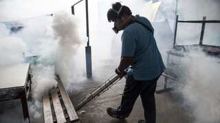 Thailand finds 33 new cases of Zika