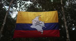 Colombian Army: Two FARC rebels killed in combat, violate ceasefire