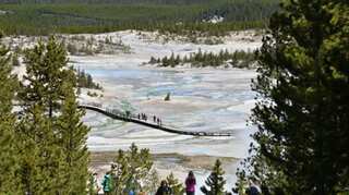 US man who fell into hot spring dissolved: Report