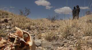 Mexican investigators find 31 bodies in secret graves