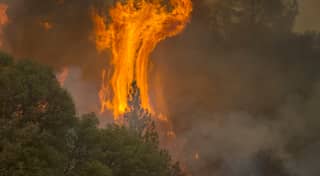Seven dead in southeast US wildfires