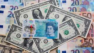 New ?5 note: Vegetarians being 'stupid' for animal fat protest, says inventor