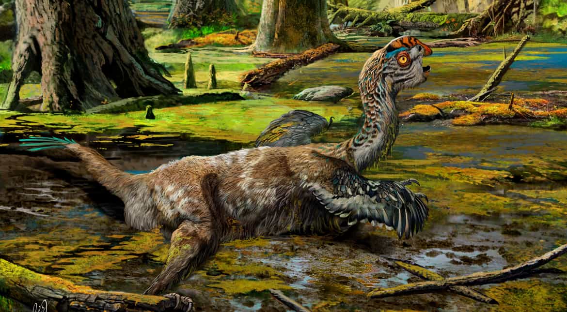 Dinosaur tail found preserved in amber