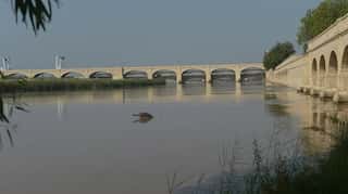 World Bank 'pauses' Indus treaty processes of India, Pakistan