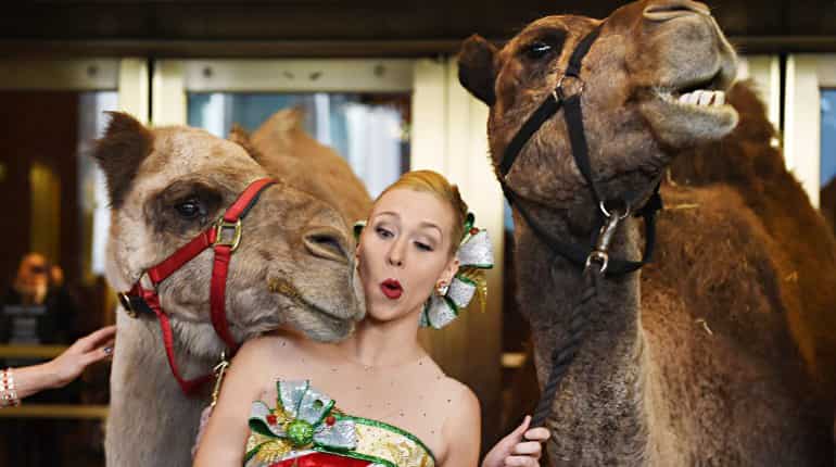 Radio City Rockette Lauren Renck is nudged by a camel.